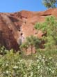 Ayers Rock - Uluru (12)