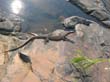 Bel Gorge (7)