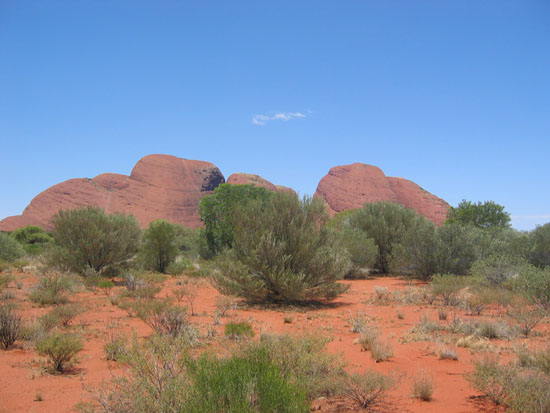 AU2004 (346)