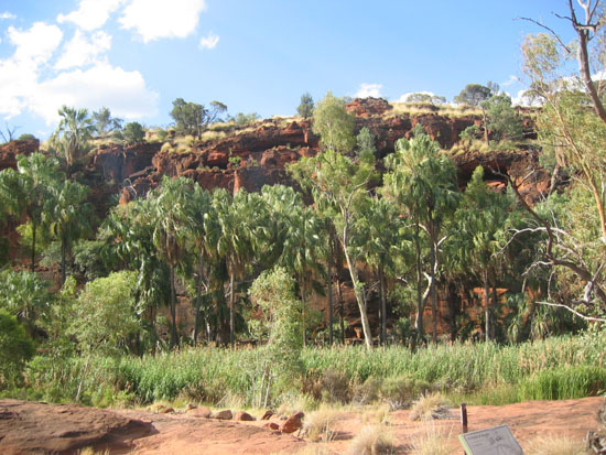 Palm Valley (2)