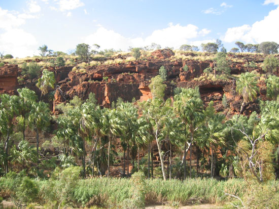 Palm Valley (3)