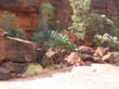 Palm Valley (10)