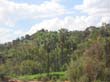 Palm Valley (11)