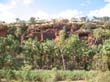 Palm Valley (3)