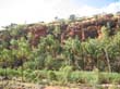 Palm Valley (4)