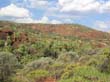 Palm Valley (5)