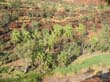 Palm Valley (7)