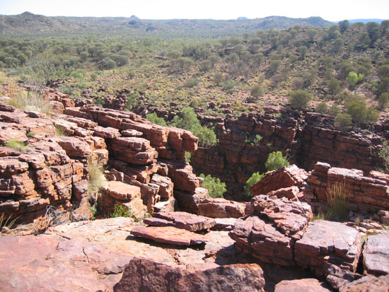 Trephina Gorge (2)