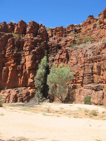 Trephina Gorge (8)
