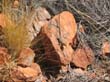 Trephina Gorge (4)