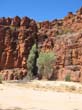 Trephina Gorge (8)