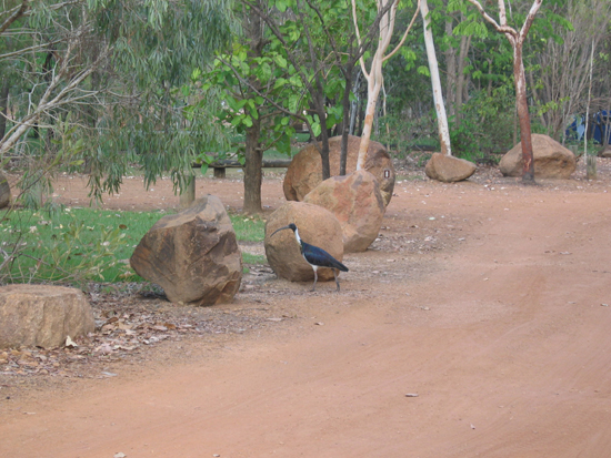 AU2004 (257)