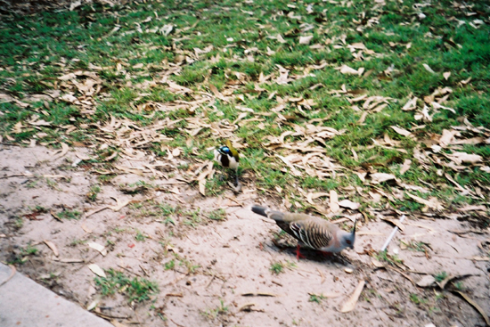 AU4img001 (11)