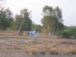 AU2004 (12)