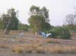 AU2004 (13)