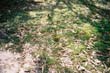 AU4img001 (8)