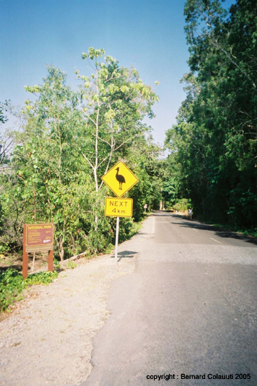 signalisation (12)