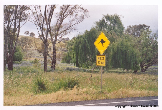 signalisation (5)