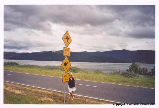 signalisation (6)
