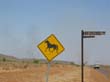 signalisation (10)