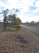 signalisation (11)