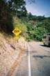 signalisation (14)