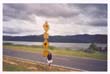 signalisation (6)