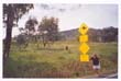 signalisation (7)