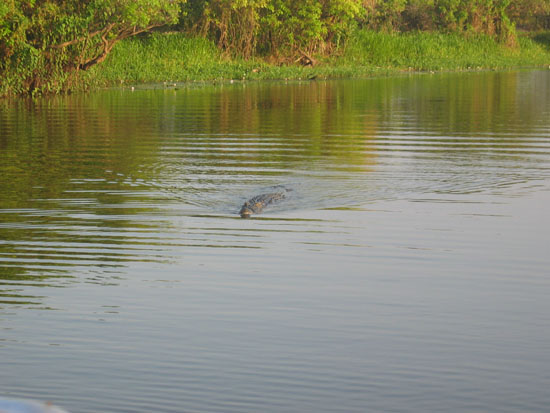 billabong (2)