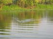 billabong (1)