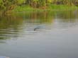 billabong (2)
