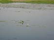 billabong (3)