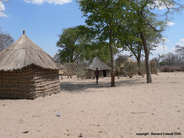village (2)