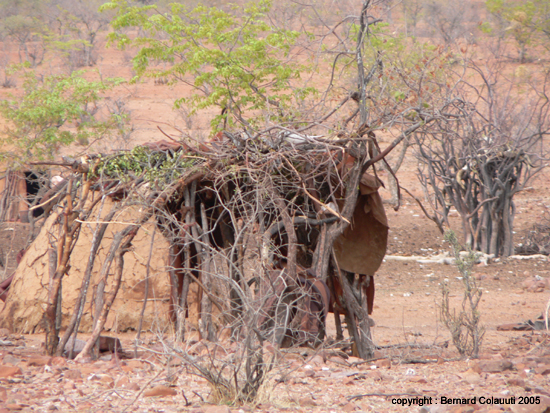 himbas (6)