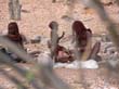 himbas (5)