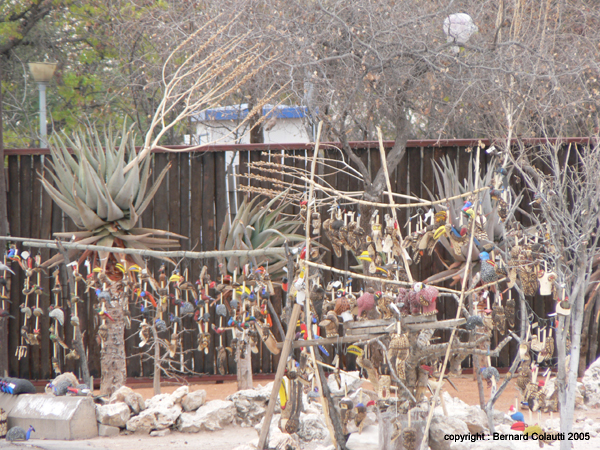 entree Etosha (3)