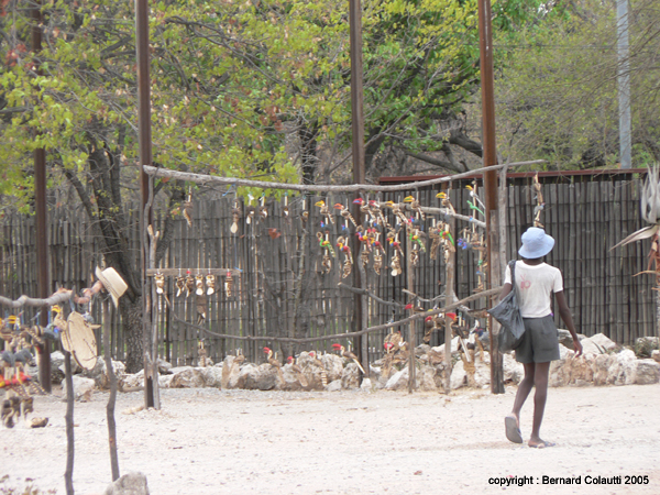 entree Etosha (4)
