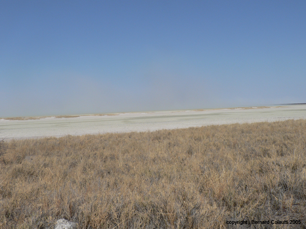 le pan d'Etosha (2)