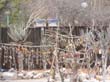 entree Etosha (3)