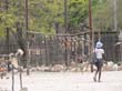 entree Etosha (4)