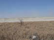 le pan d'Etosha (1)