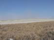 le pan d'Etosha (2)