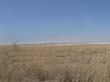 le pan d'Etosha (3)