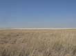 le pan d'Etosha