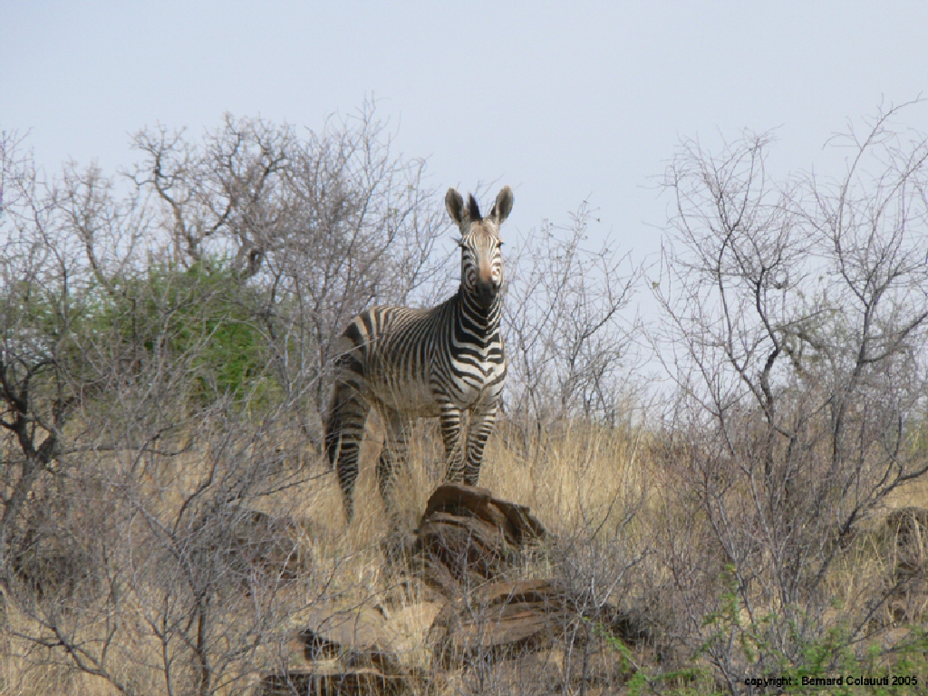 Dan Viljoen Park (1)