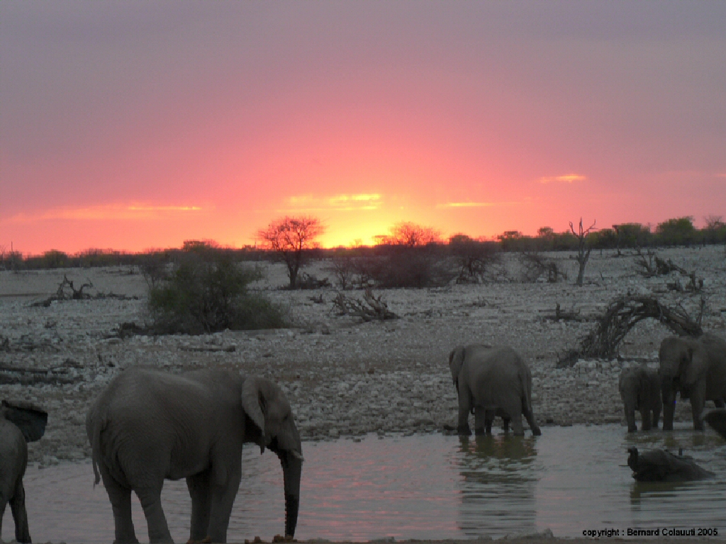 Etosha (3)