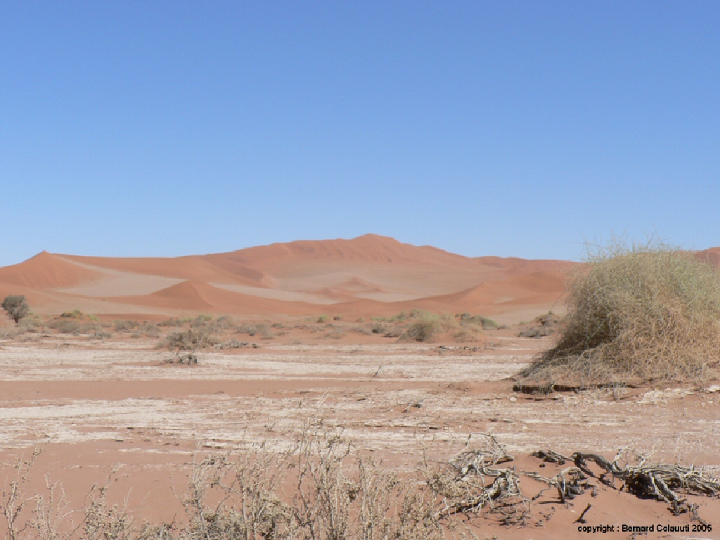 Sossusvlei (11)