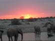 Etosha (3)