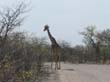 Etosha (5)