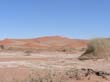 Sossusvlei (11)